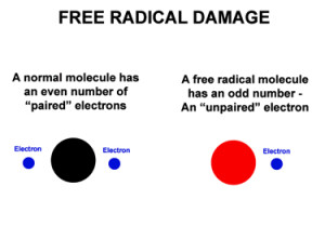 FreeRadicalA