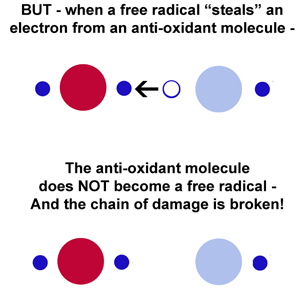 FreeRadicalC
