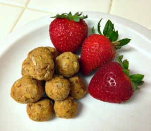 proteinbites